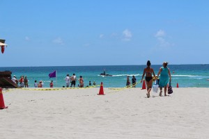 Junior Lifeguard Competition 2016 (1030)
